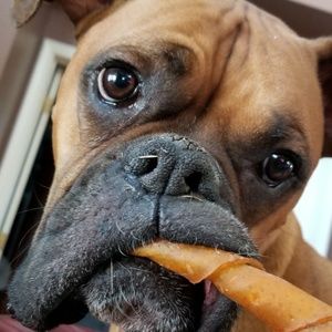 Meet your Posher, Troy